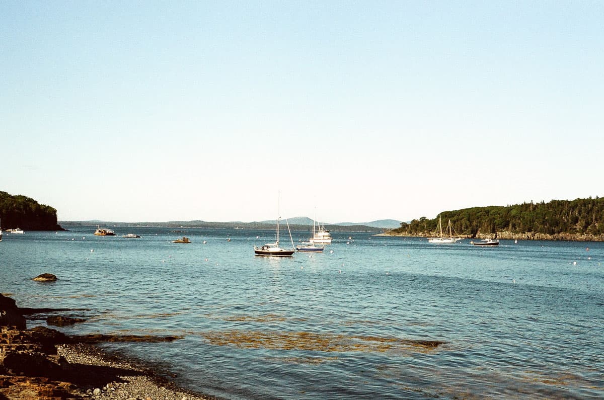 A Walk Along the Shore by Julie Young on Shoot It With Film