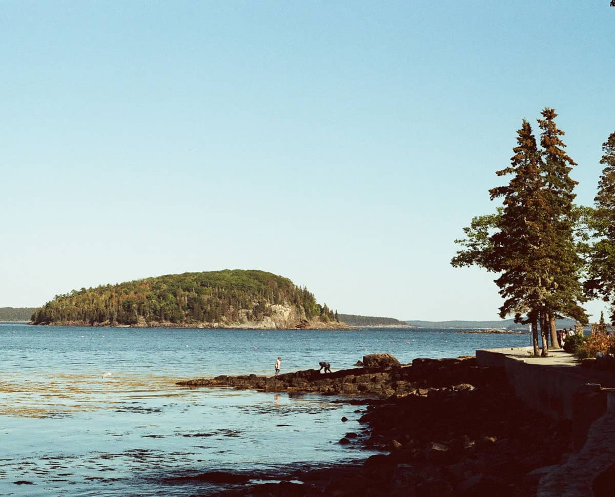 A Walk Along the Shore by Julie Young on Shoot It With Film