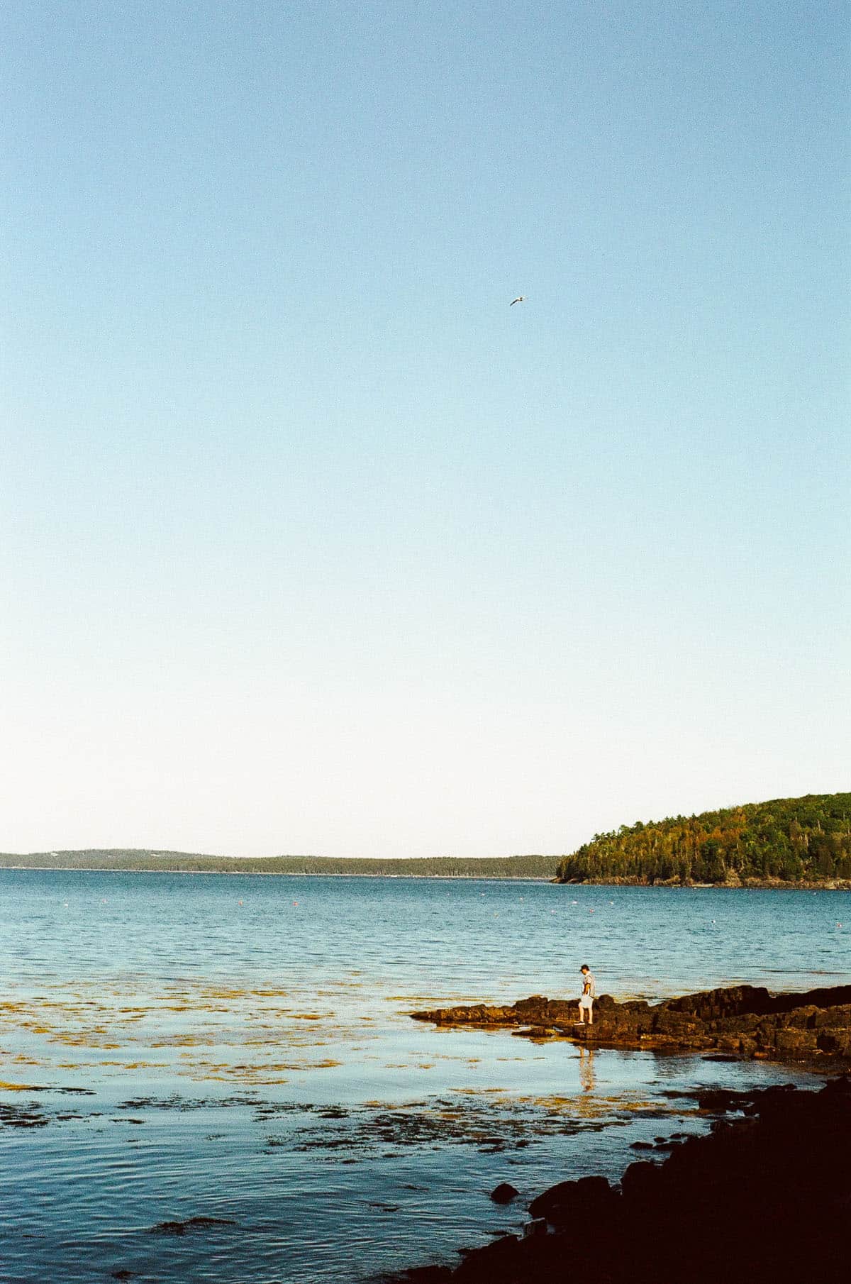 A Walk Along the Shore by Julie Young on Shoot It With Film