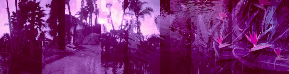How to Shoot Creative Landscapes on Film by Angela Izzo Shoot It With Film