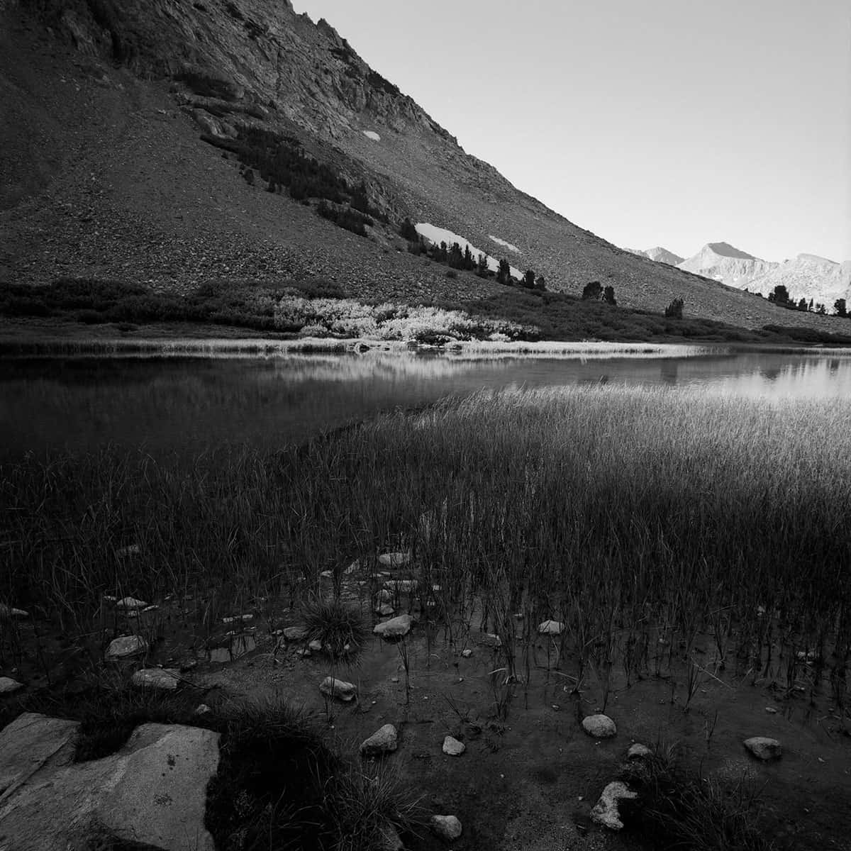 Discover Photo Series on Medium Format Film by Scott Mansfield on Shoot It With Film