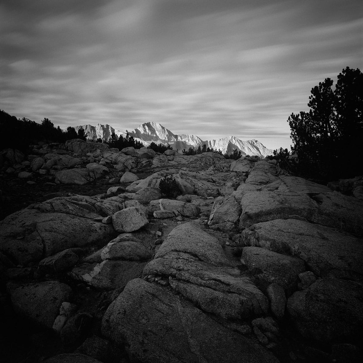 Discover Photo Series on Medium Format Film by Scott Mansfield on Shoot It With Film