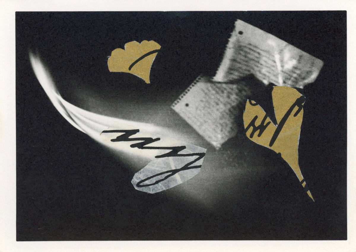Ilford Cotton Rag Darkroom Paper Review by Jacqui Merhaut on Shoot It With Film