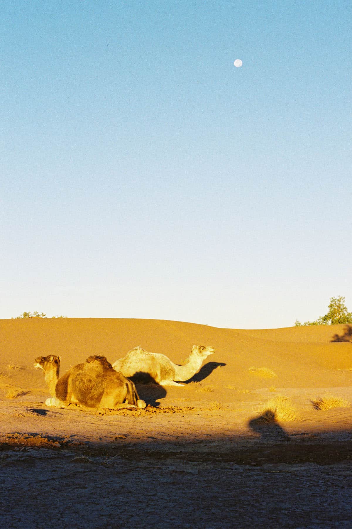 Morocco Photo Essay on 35mm Film by Courtney Hurrell on Shoot It With Film