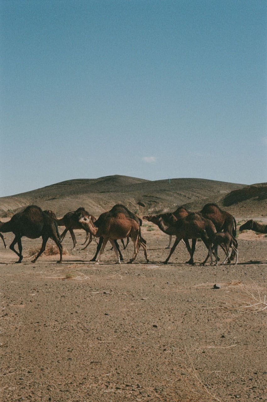 Morocco on 35mm Film by Bernadeta Kupiec on Shoot It With Film