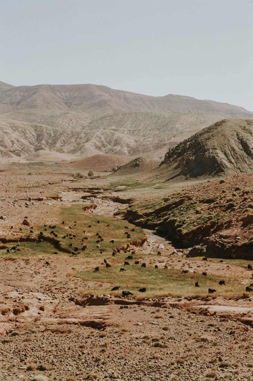 Morocco on 35mm Film by Bernadeta Kupiec on Shoot It With Film