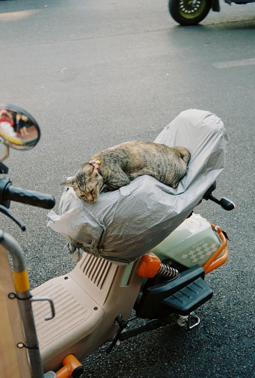 Thailand Travel Essay on 35mm Film by Sasha Zheinova on Shoot It With Film