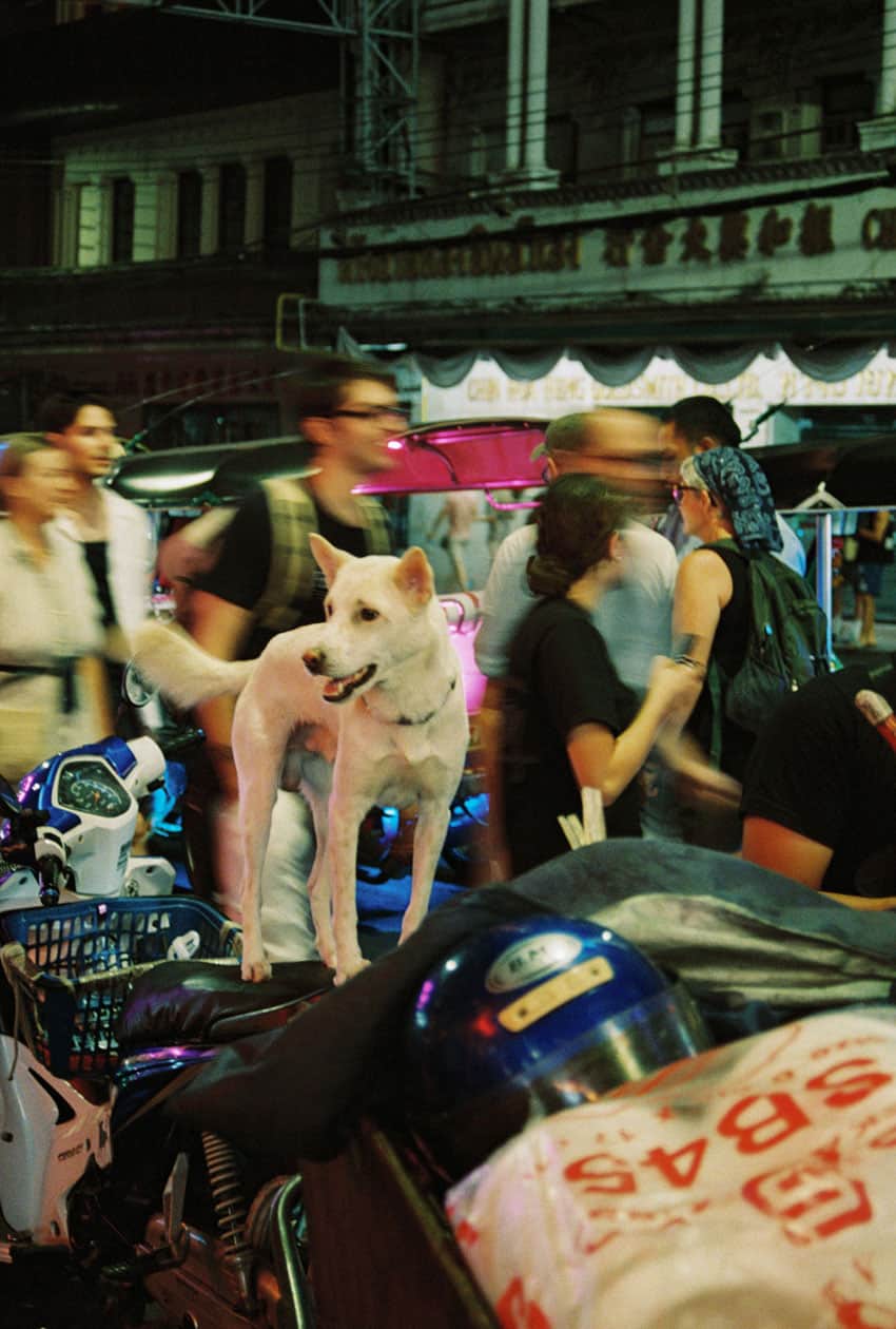 Thailand Travel Essay on 35mm Film by Sasha Zheinova on Shoot It With Film