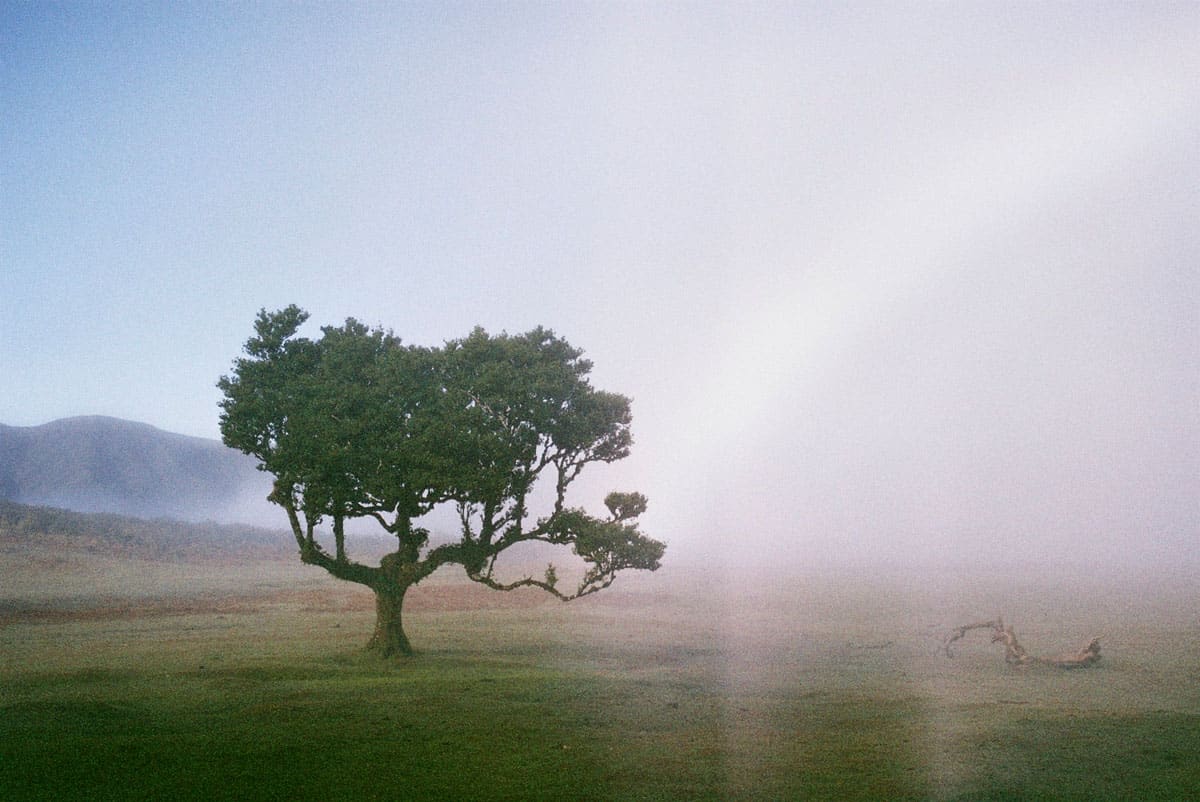 Holiday in Portugal on 35mm Film by Jean-Christophe Villefranche on Shoot It With Film