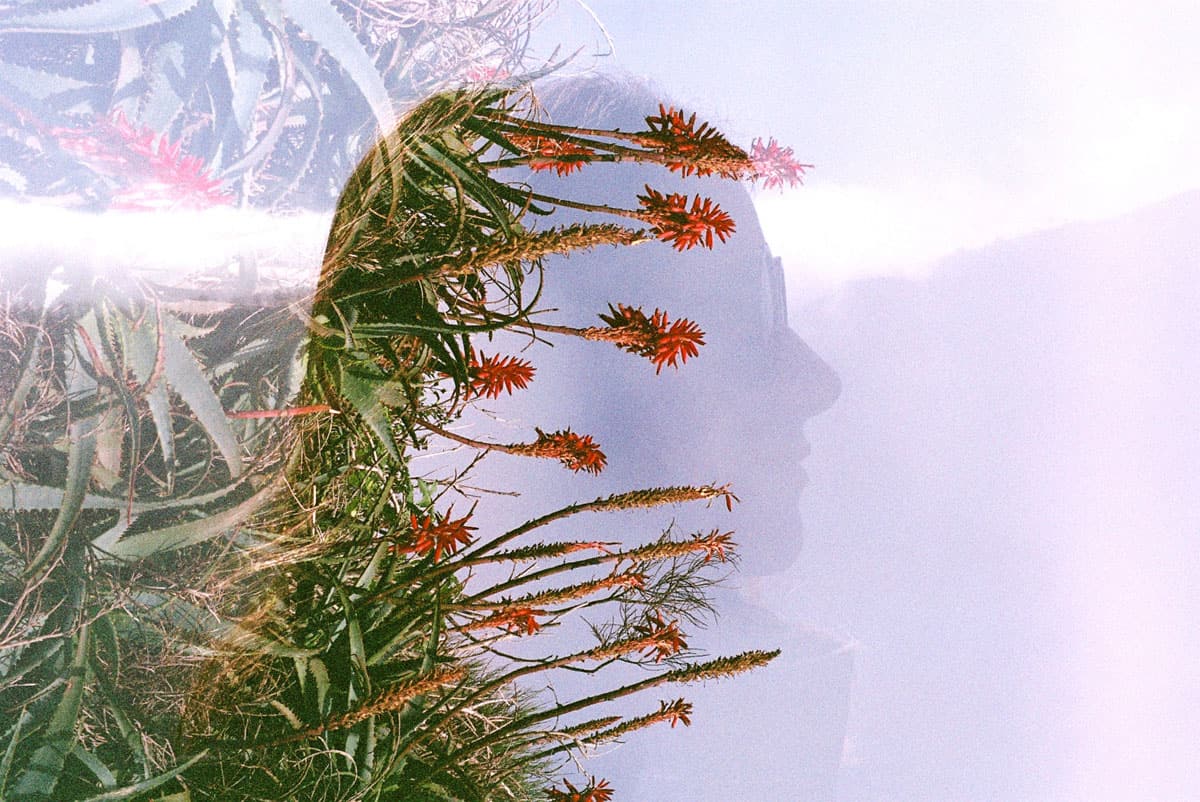 Holiday in Portugal on 35mm Film by Jean-Christophe Villefranche on Shoot It With Film