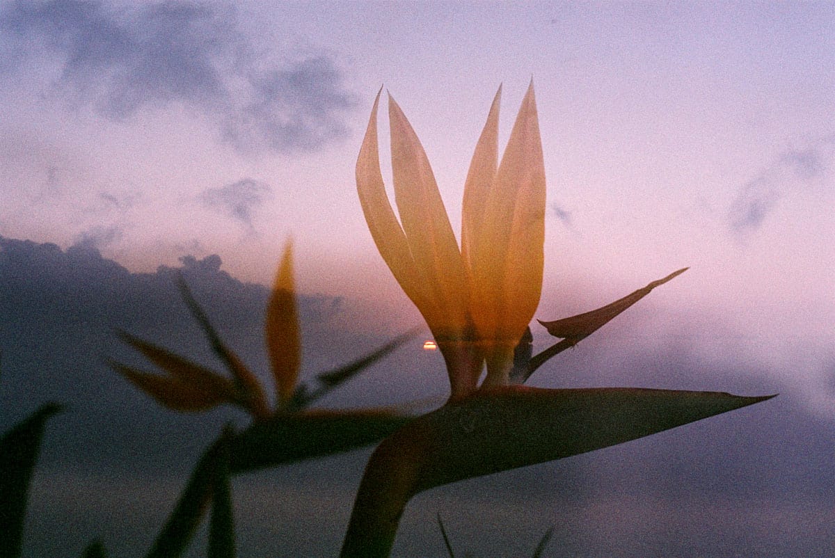 Holiday in Portugal on 35mm Film by Jean-Christophe Villefranche on Shoot It With Film