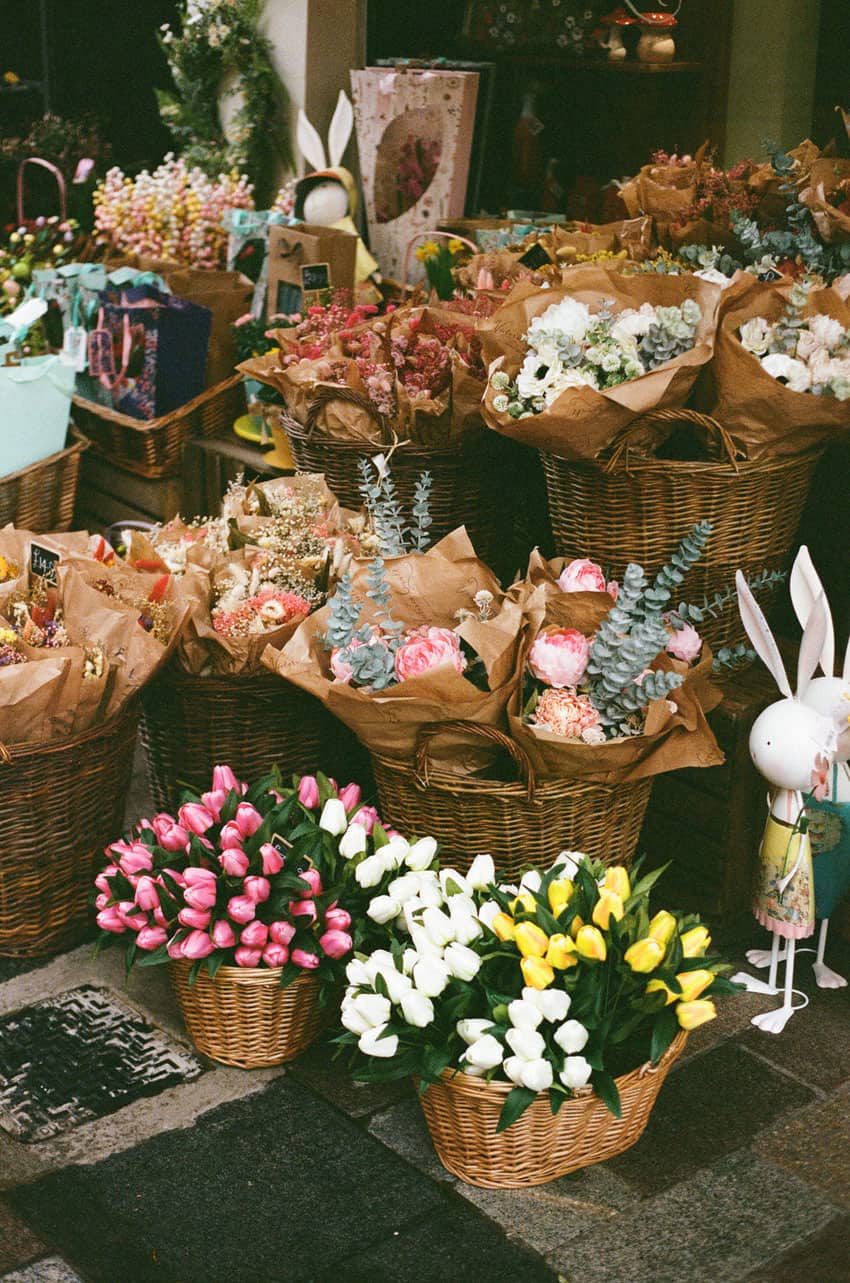 Ireland's Coast Travel Story on 35mm Film by Olivia Rutt on Shoot It With Film