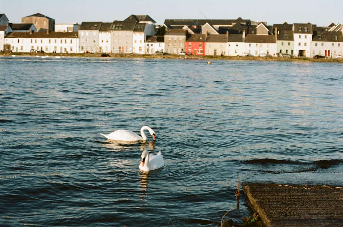 Ireland's Coast Travel Story on 35mm Film by Olivia Rutt on Shoot It With Film