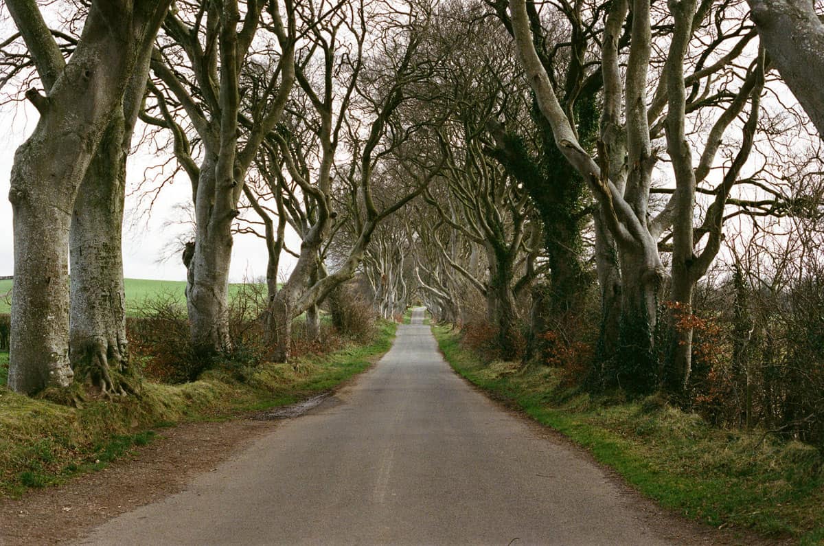 Ireland's Coast Travel Story on 35mm Film by Olivia Rutt on Shoot It With Film
