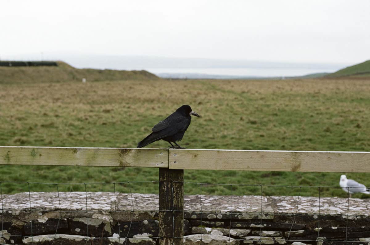 Ireland's Coast Travel Story on 35mm Film by Olivia Rutt on Shoot It With Film