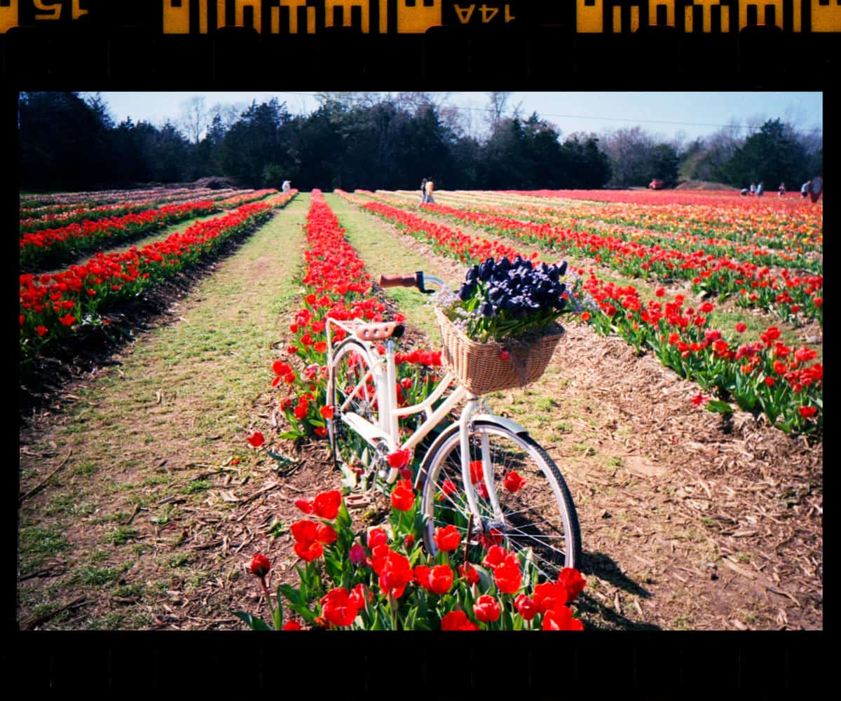 Kodak Snapic A1 35mm Point and Shoot Film Camera Review on Shoot It With Film