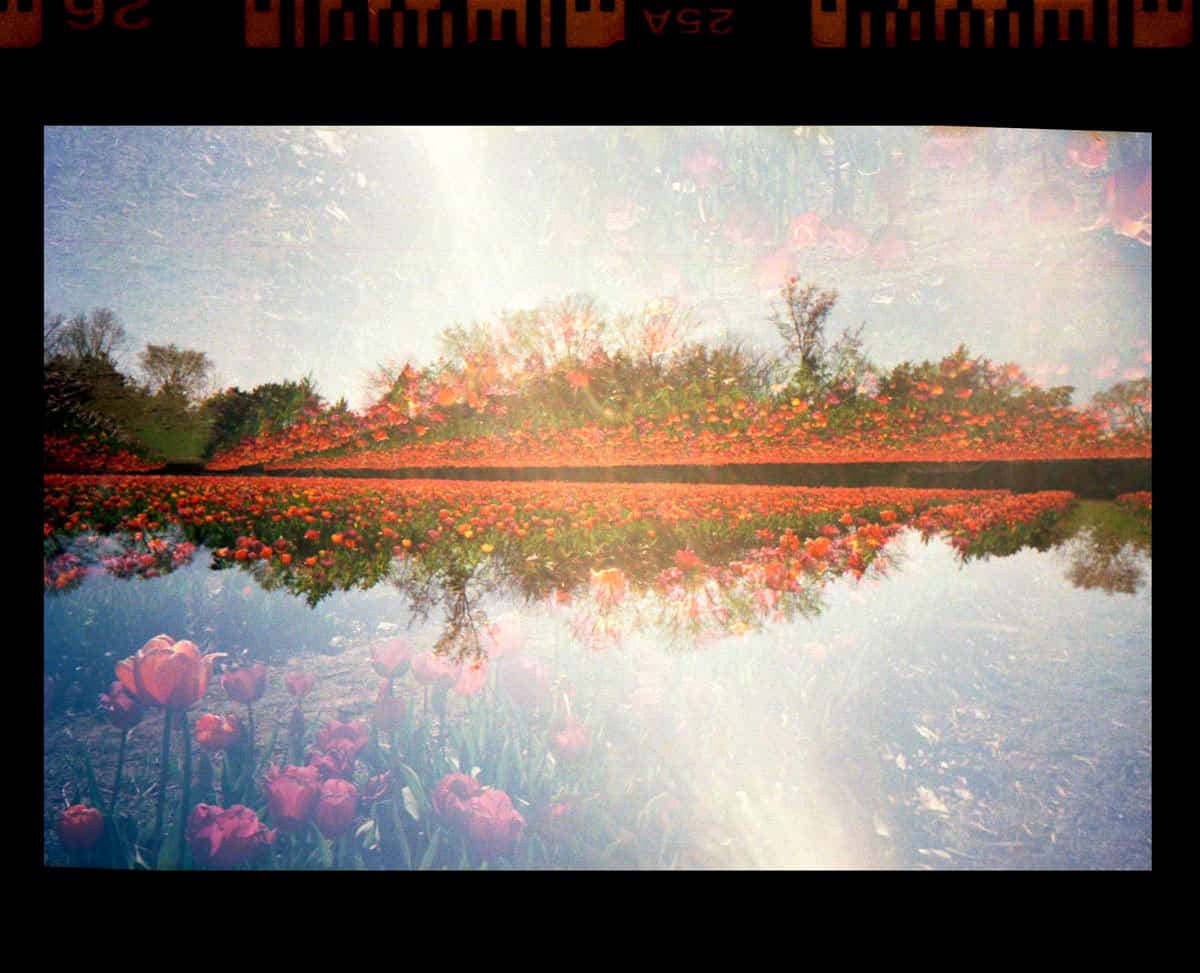 Kodak Snapic A1 35mm Point and Shoot Film Camera Review on Shoot It With Film