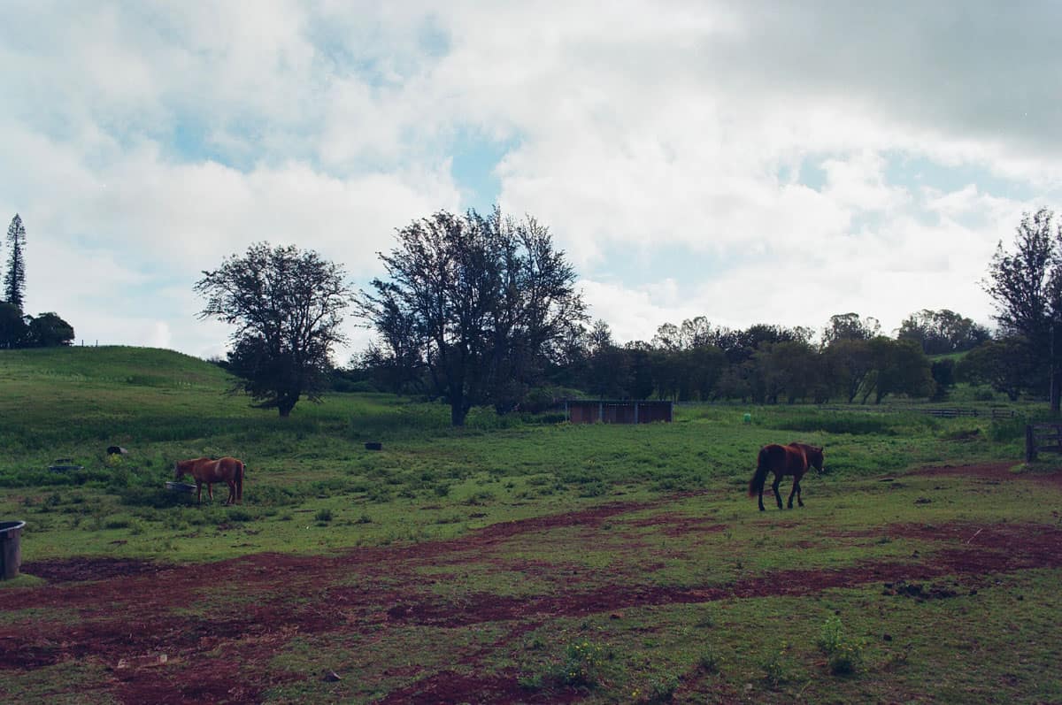 Maui Travel Story on Medium Format Film by Krishan Lewis on Shoot It With Film