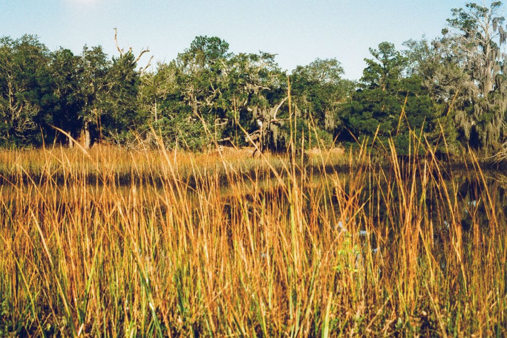 Phoenix II vs. Ektachrome: Is Harman’s Color Film a Slide Film Alternative? by Taylor Blanchard