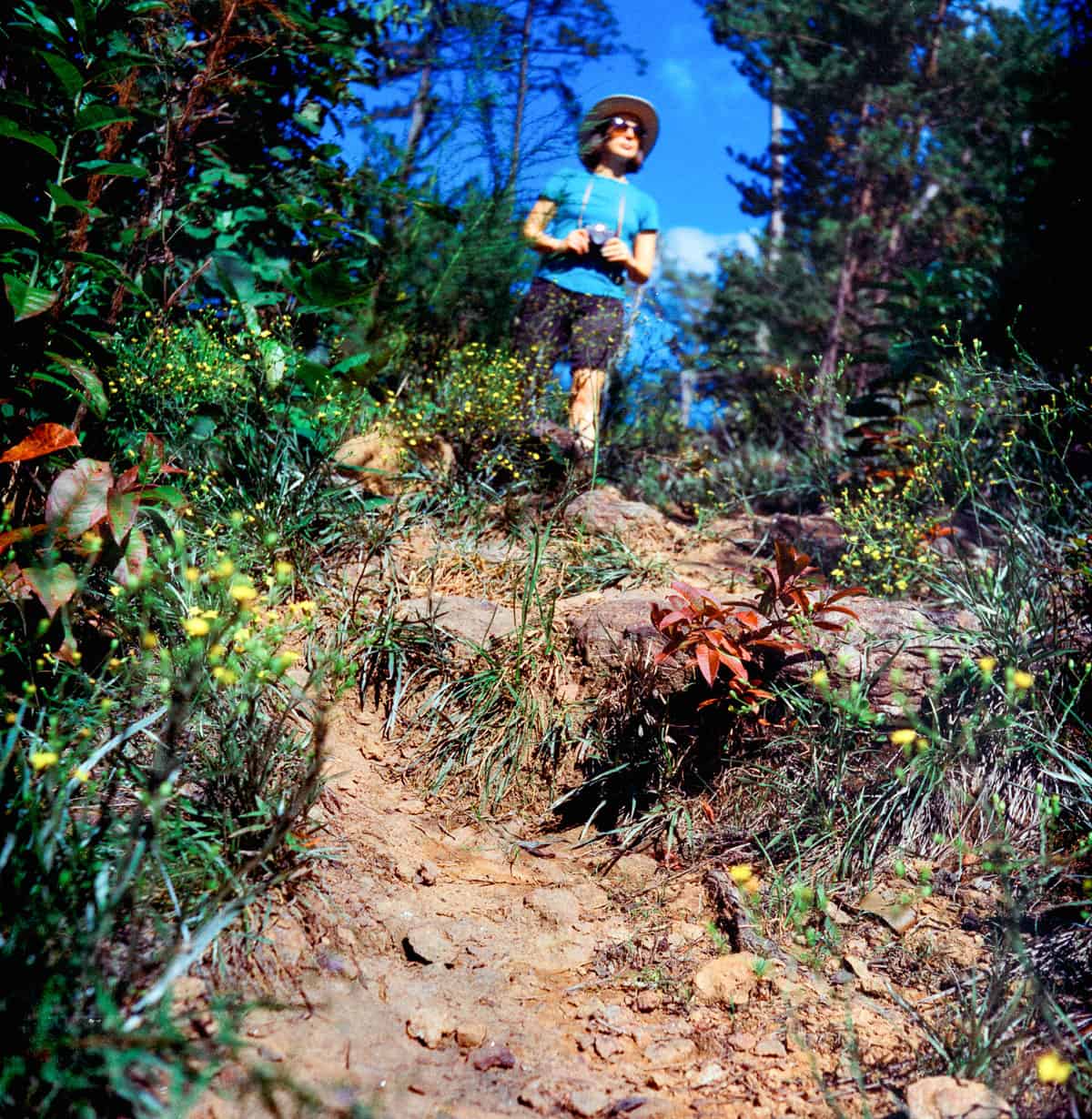 Phoenix II vs. Ektachrome: Is Harman’s Color Film a Slide Film Alternative? by Taylor Blanchard