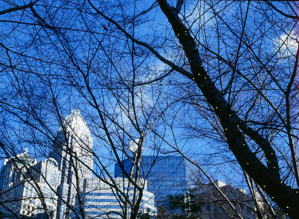 Phoenix II vs. Ektachrome: Is Harman’s Color Film a Slide Film Alternative? by Taylor Blanchard