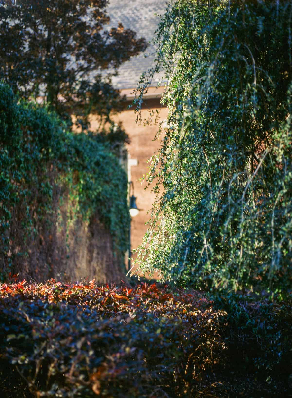 Phoenix II vs. Ektachrome: Is Harman’s Color Film a Slide Film Alternative? by Taylor Blanchard