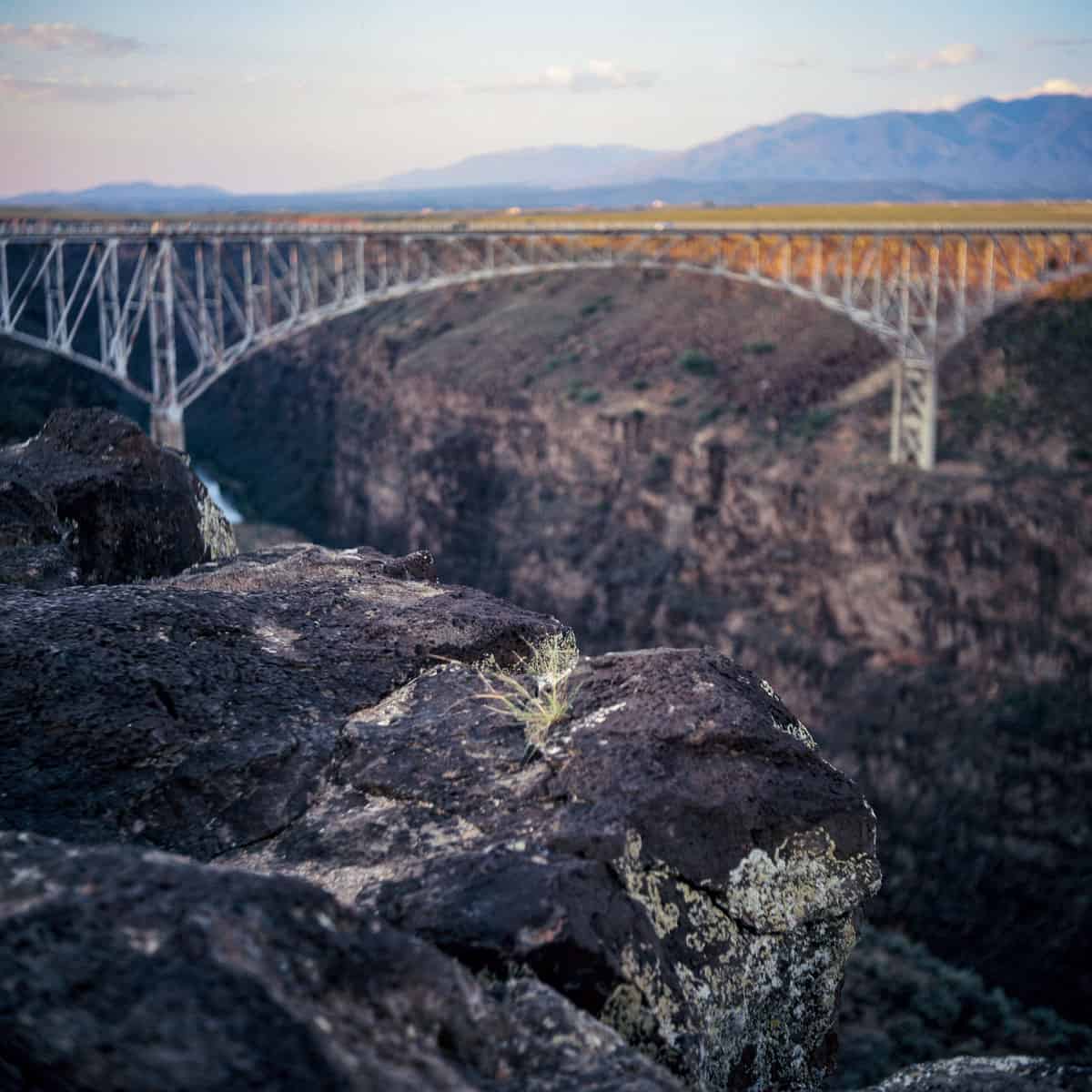 Phoenix II vs. Ektachrome: Is Harman’s Color Film a Slide Film Alternative? by Taylor Blanchard