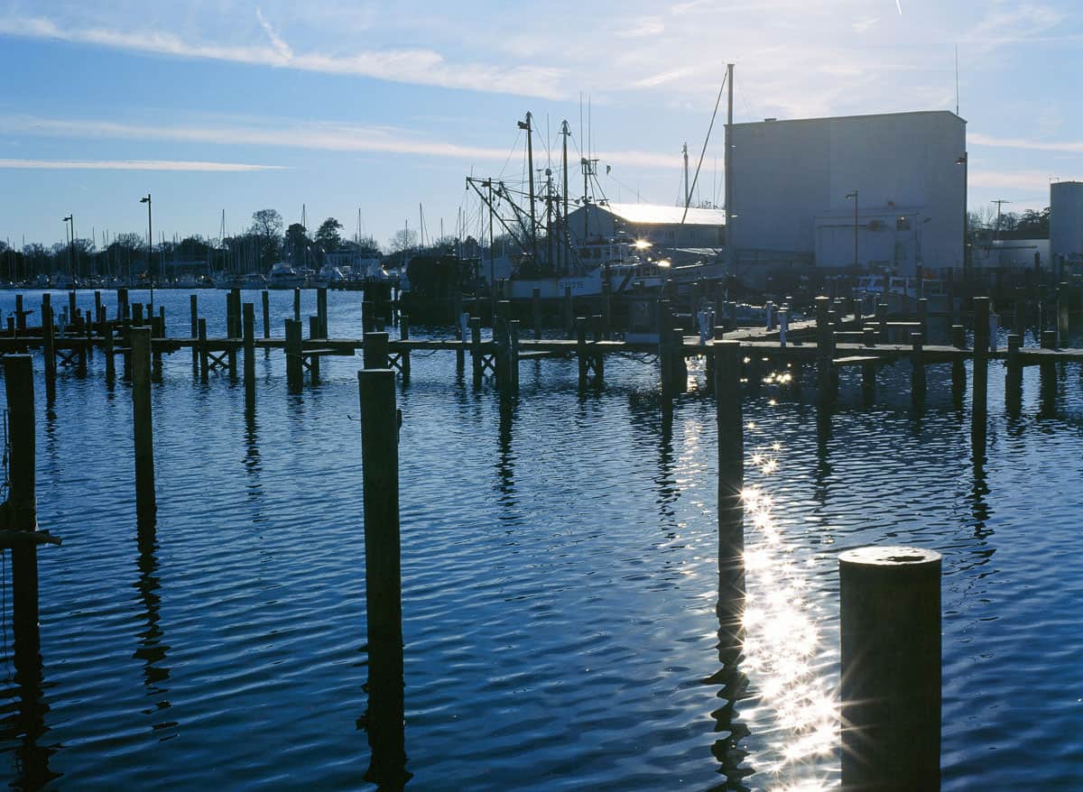Phoenix II vs. Ektachrome: Is Harman’s Color Film a Slide Film Alternative? by Taylor Blanchard