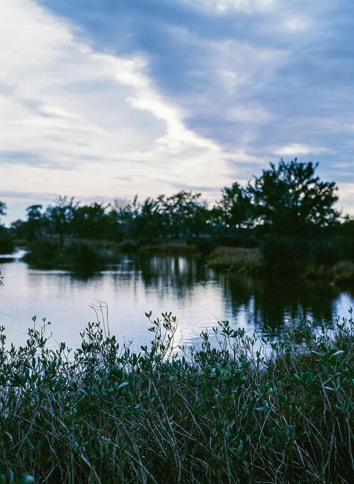 Phoenix II vs. Ektachrome: Is Harman’s Color Film a Slide Film Alternative? by Taylor Blanchard