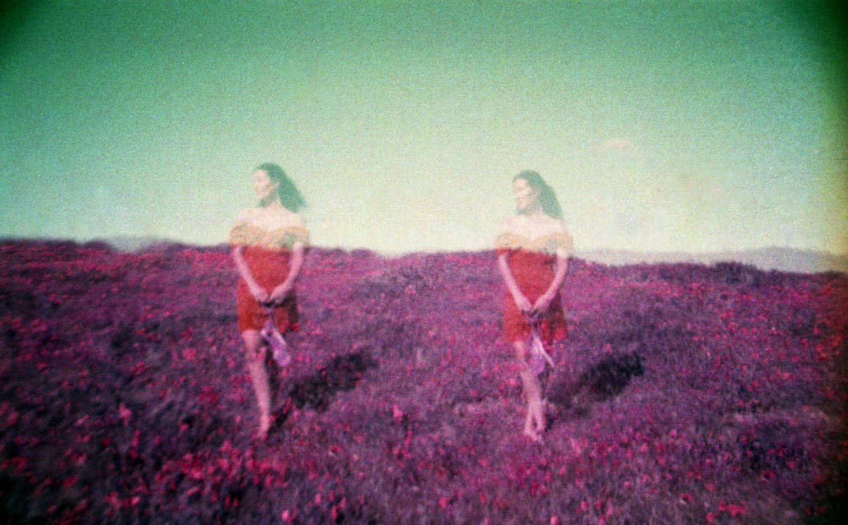 How to Photograph Flowers on Film by Angela Izzo on Shoot It With Film