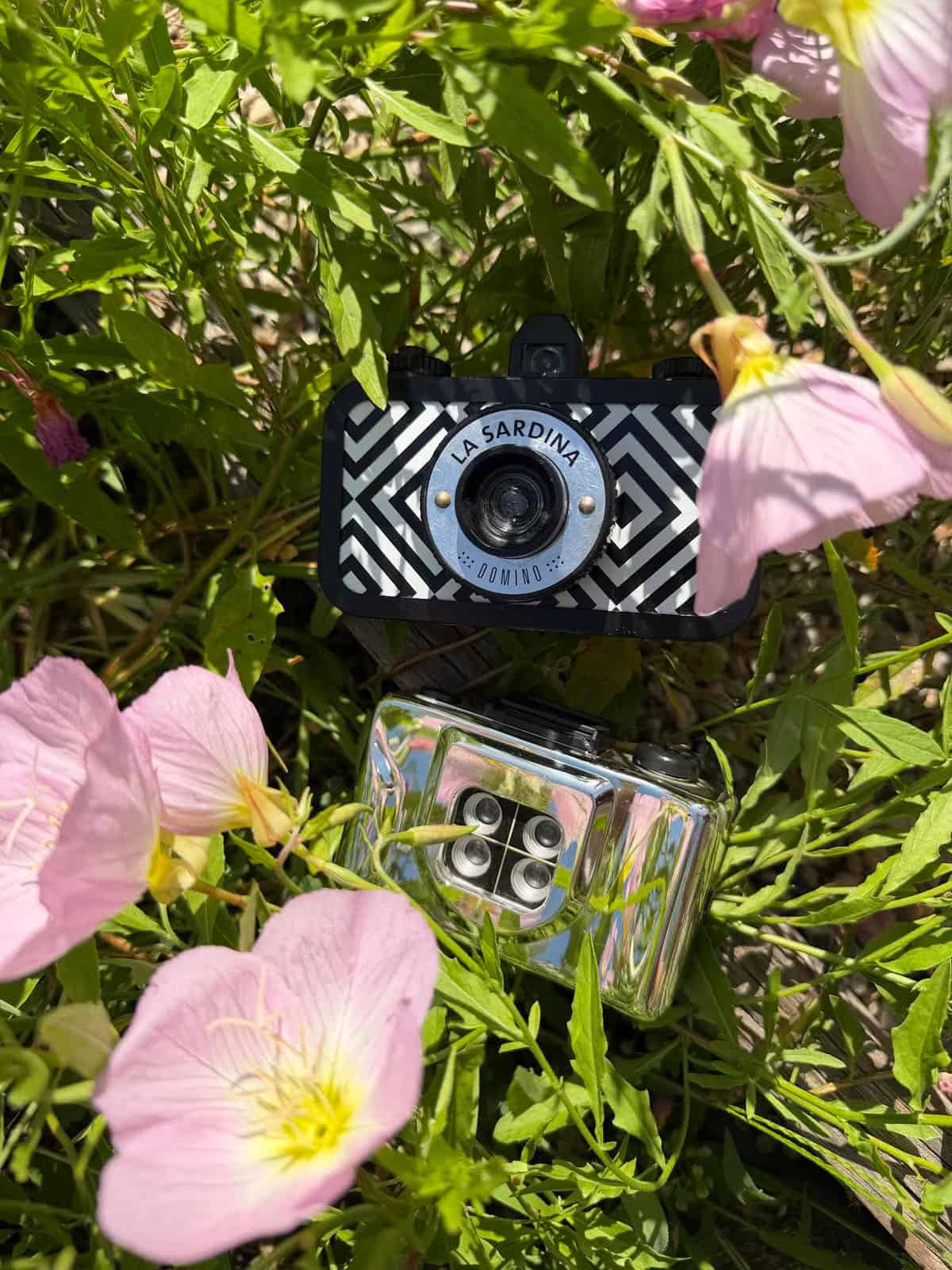 How to Photograph Flowers on Film by Angela Izzo on Shoot It With Film