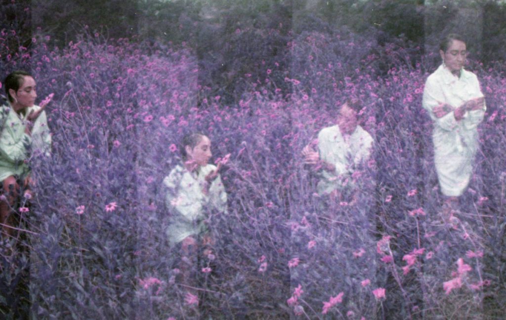 How to Photograph Flowers on Film by Angela Izzo on Shoot It With Film