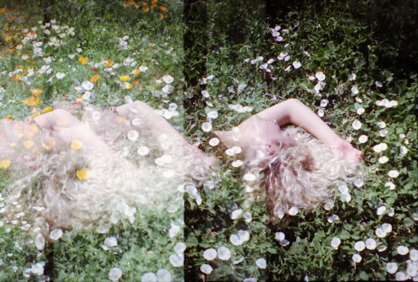 How to Photograph Flowers on Film by Angela Izzo on Shoot It With Film