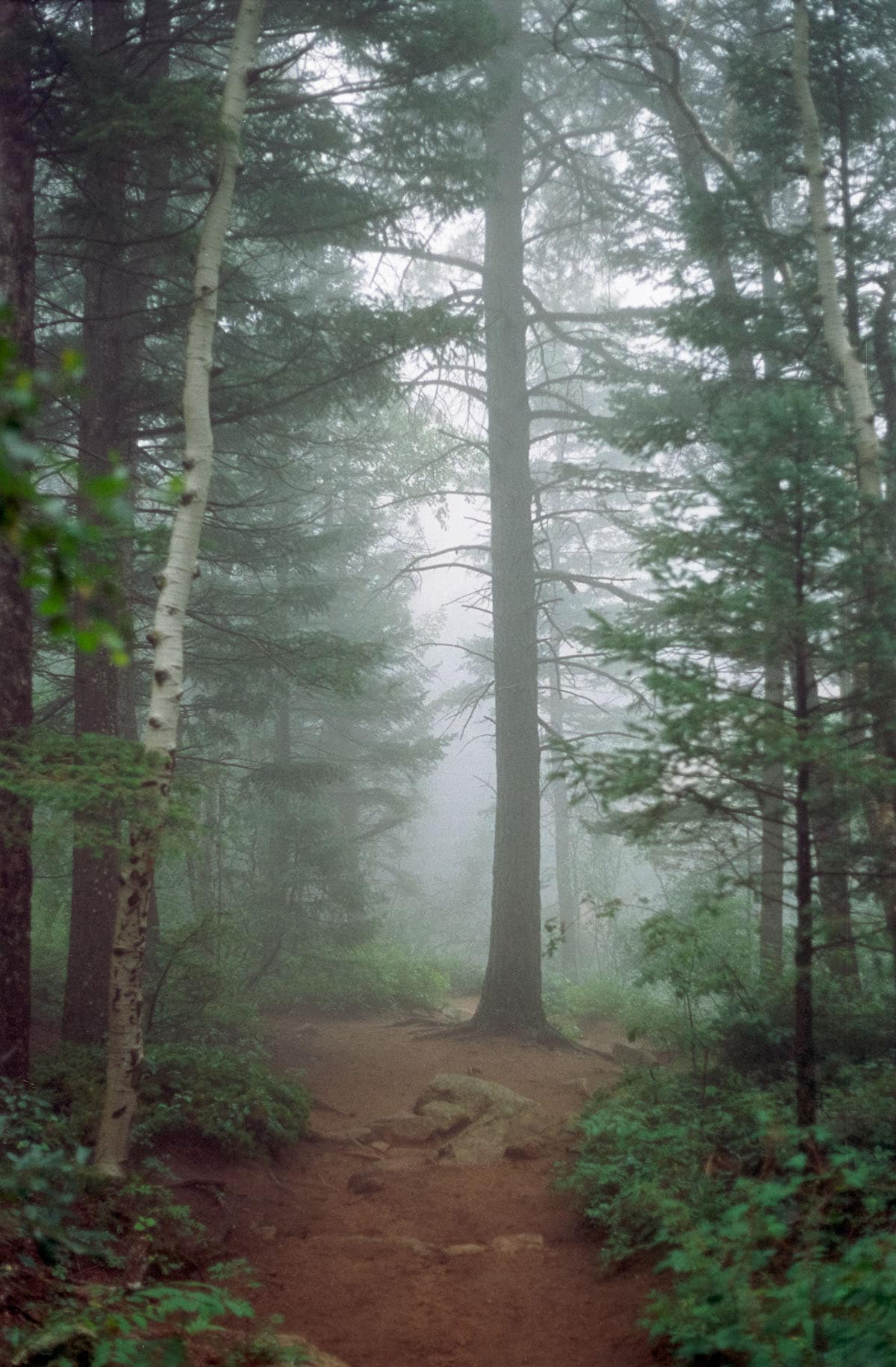 What Makes a Good Film Camera Part Two by Tyler Mattas on Shoot It With Film