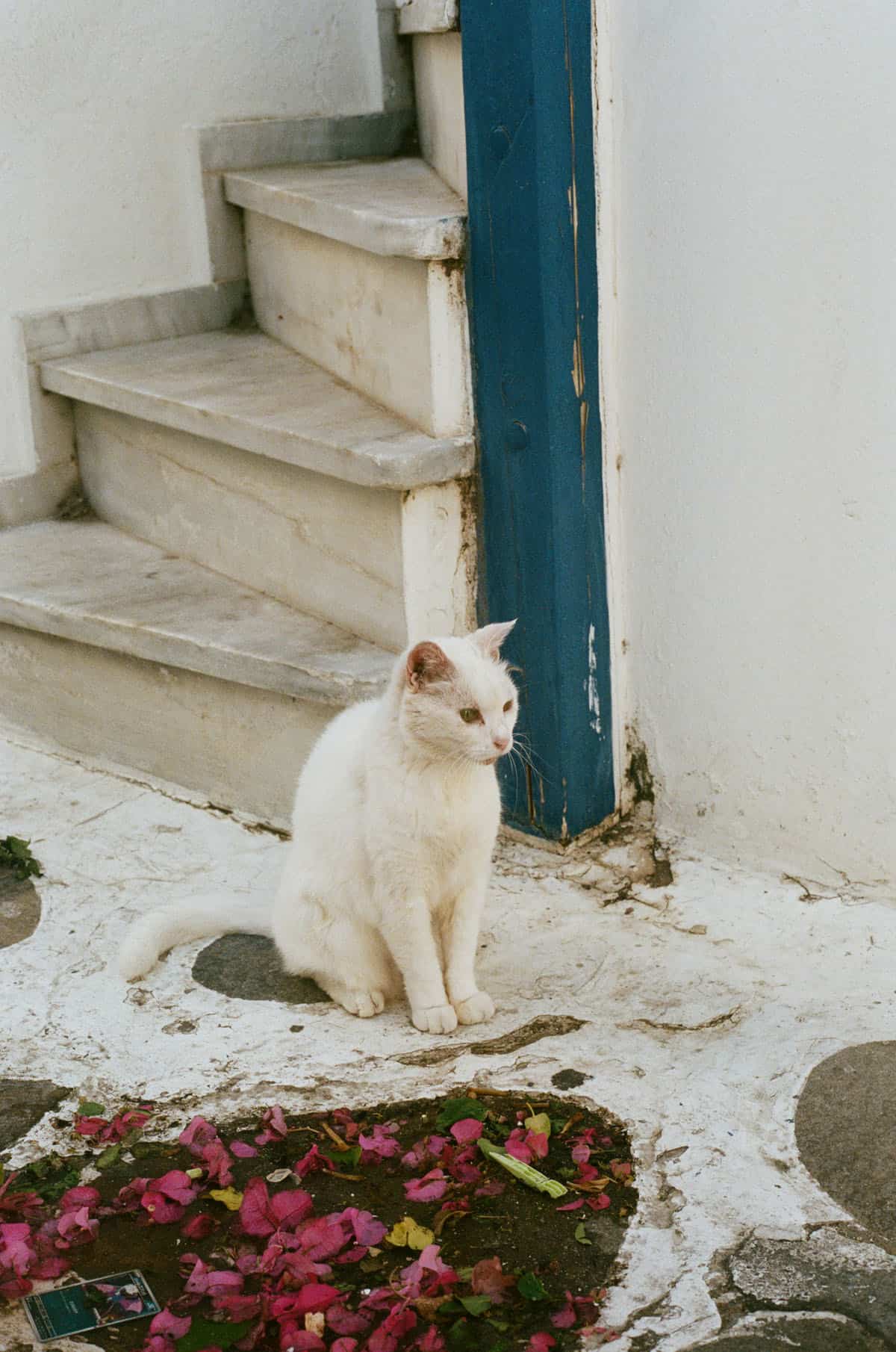 Greece Travel Story on 35mm Film by Elizabeth Nelson on Shoot It With Film
