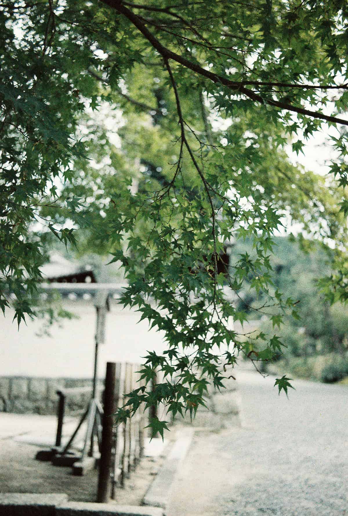 Japan Travel Story on 35mm Film by Autumn Kovach on Shoot It With Film
