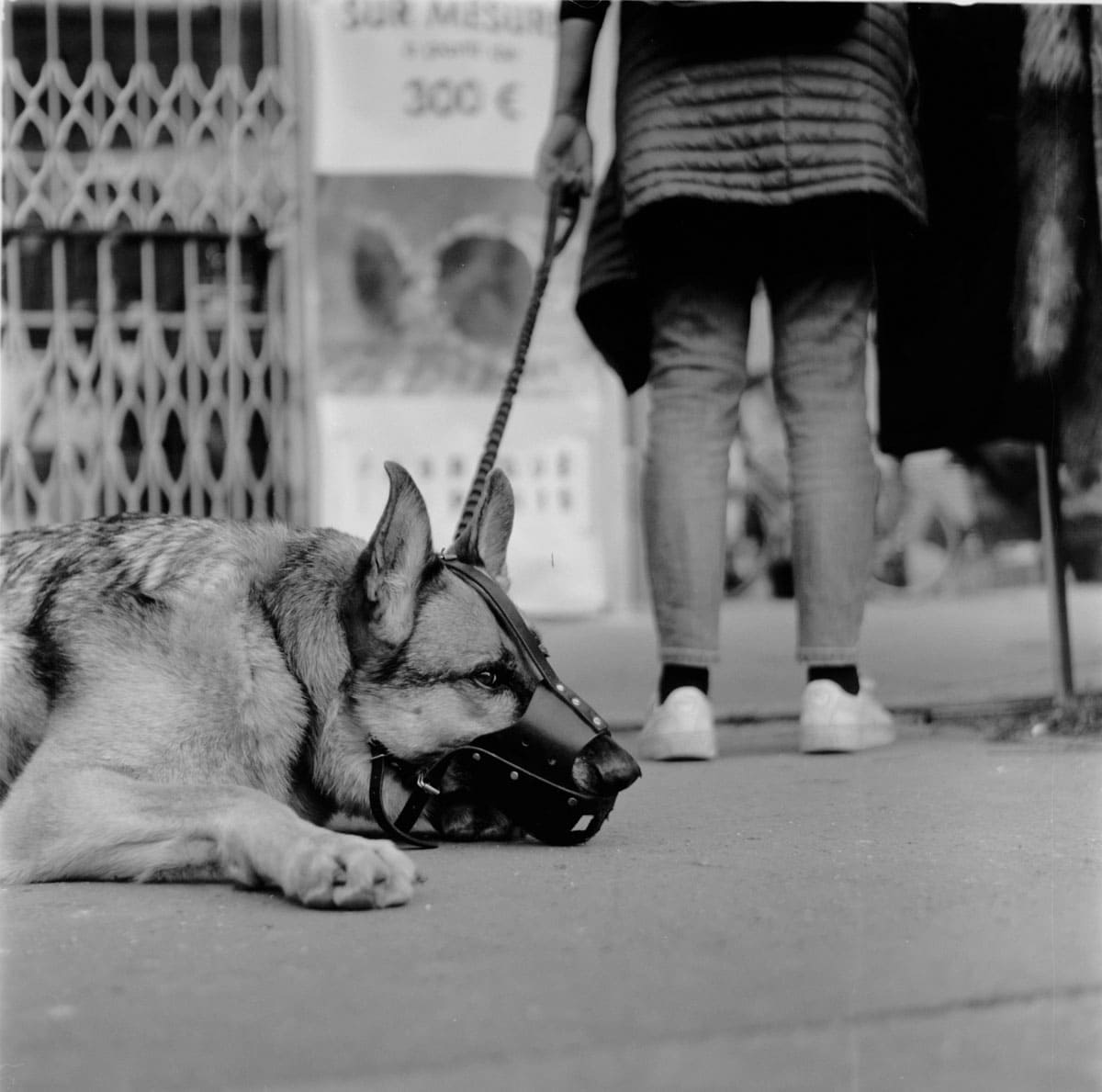 Last Two Frames by Artem Feofilov on Shoot It With Film