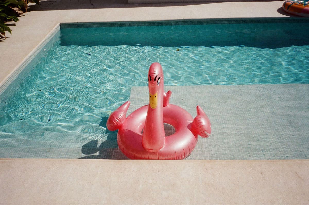 Point and Shoot Film Camera Roundup by Katya Rowny on Shoot It With Film
