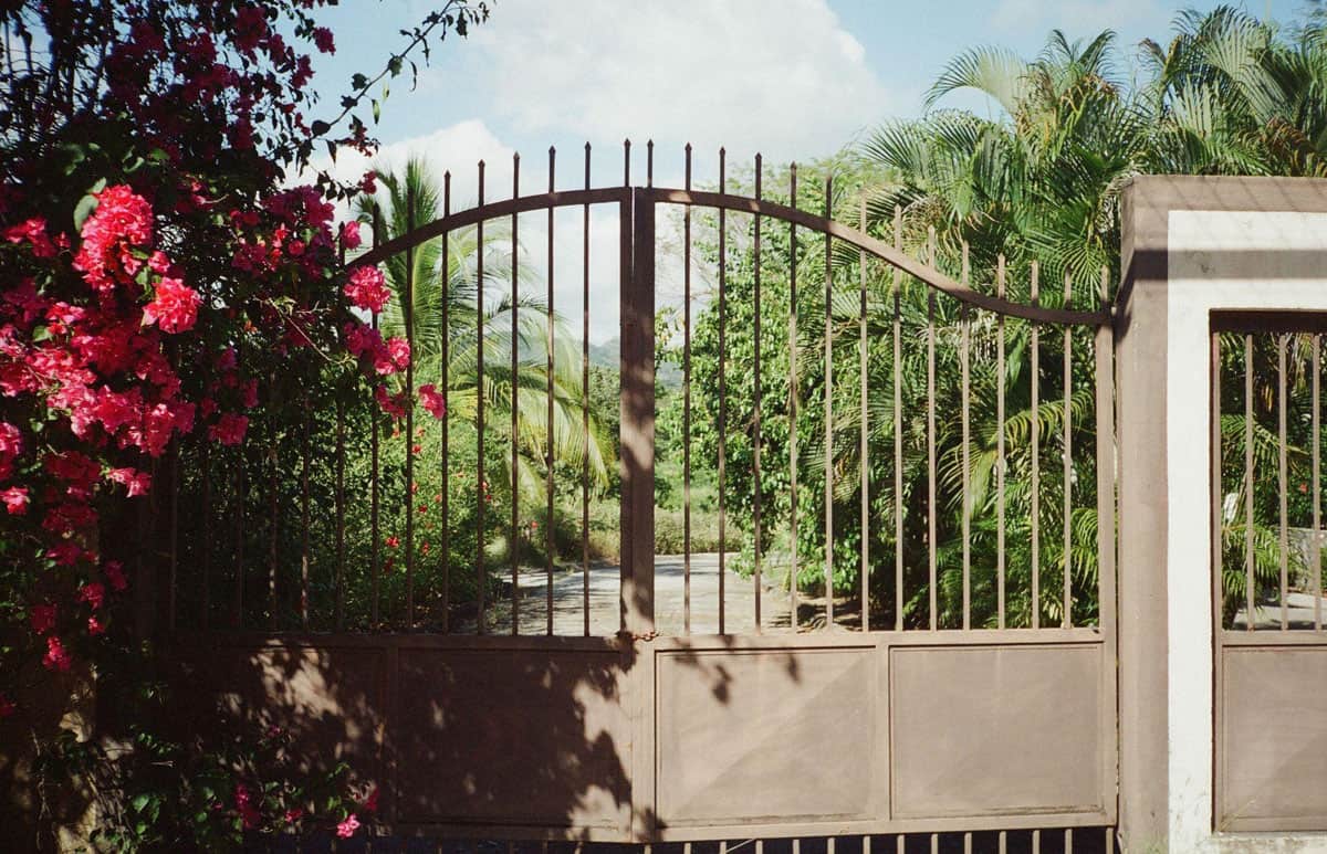 Point and Shoot Film Camera Roundup by Katya Rowny on Shoot It With Film