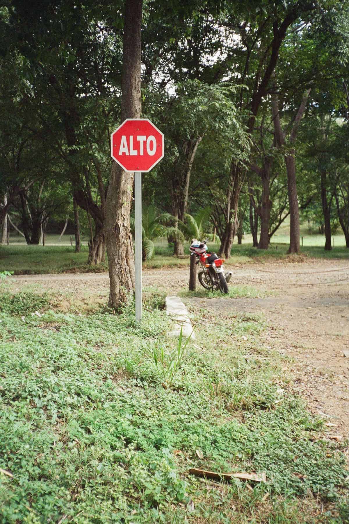 Point and Shoot Film Camera Roundup by Katya Rowny on Shoot It With Film