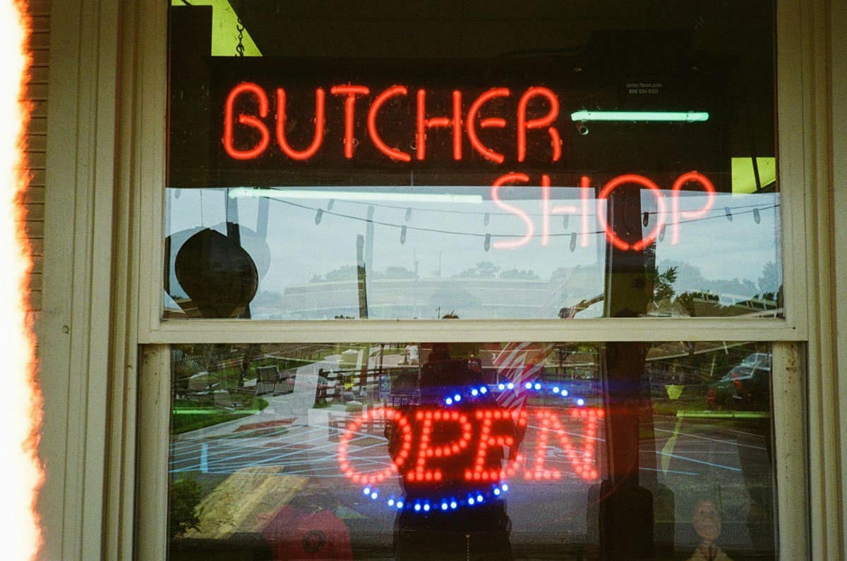 Point and Shoot Film Camera Roundup by Katya Rowny on Shoot It With Film