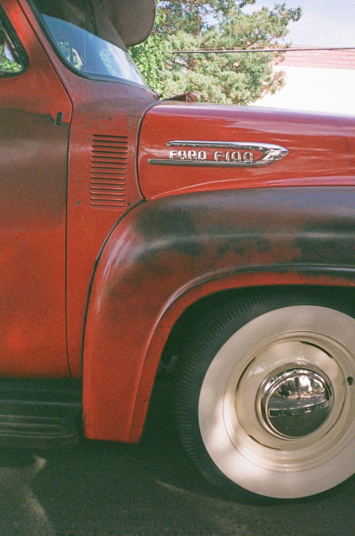 Point and Shoot Film Camera Roundup by Katya Rowny on Shoot It With Film