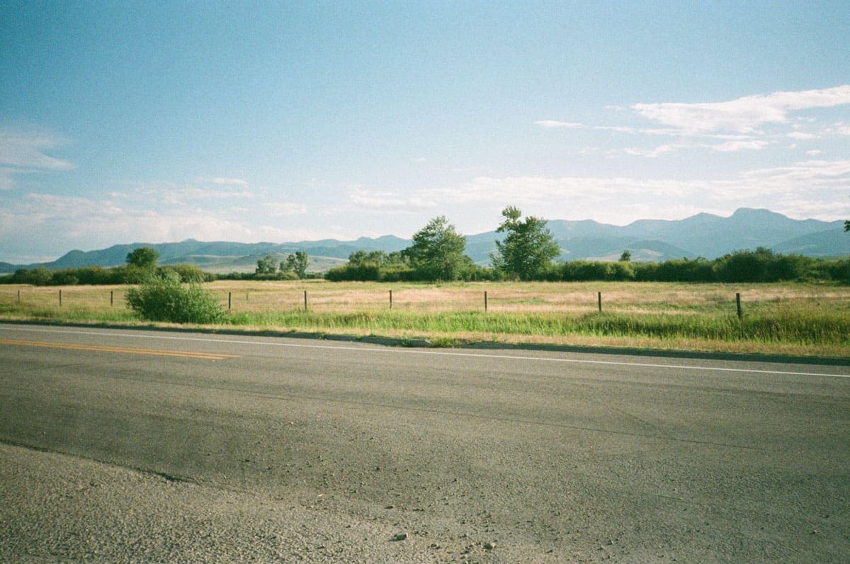 Point and Shoot Film Camera Roundup by Katya Rowny on Shoot It With Film