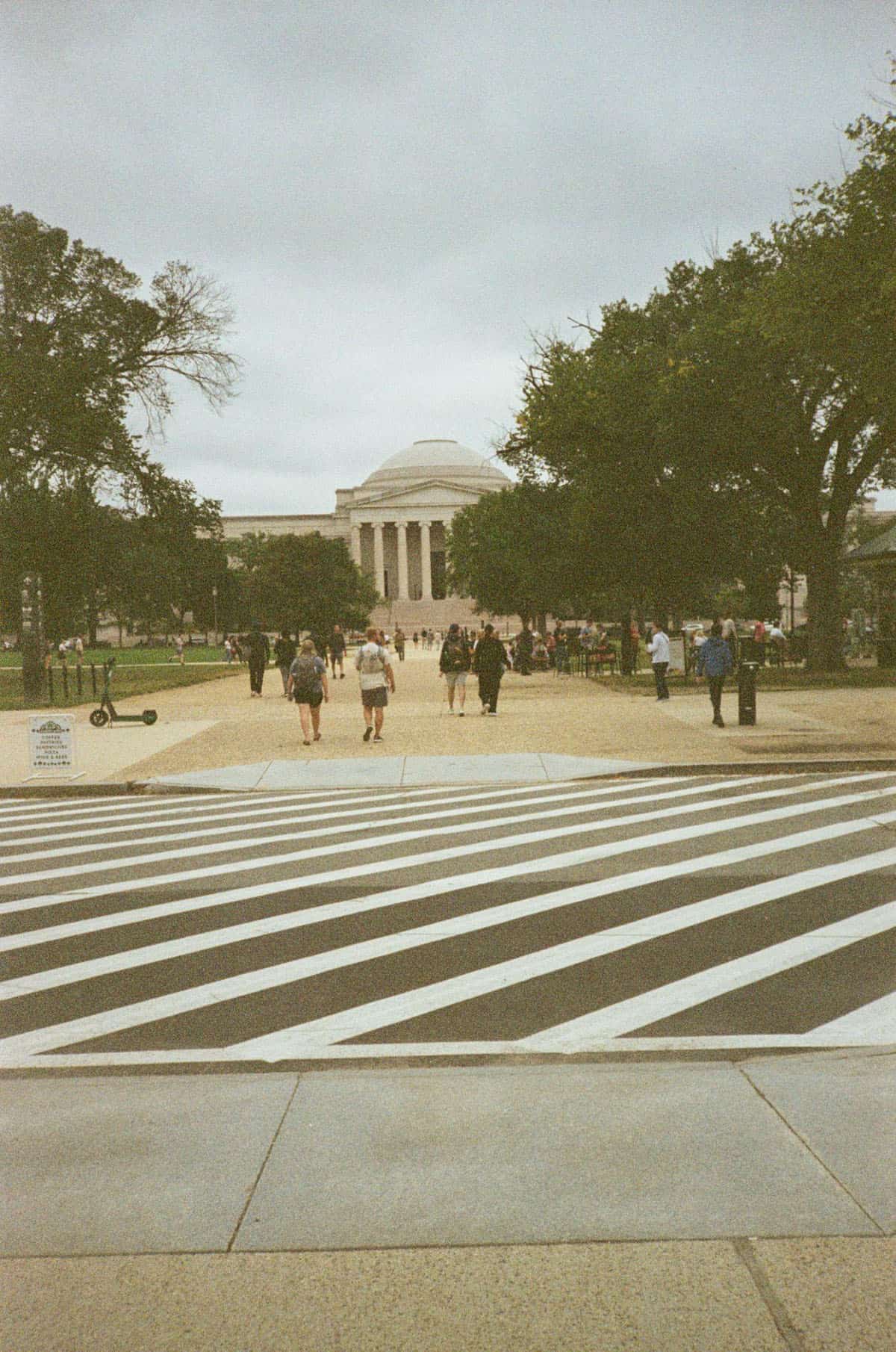 Point and Shoot Film Camera Roundup by Katya Rowny on Shoot It With Film