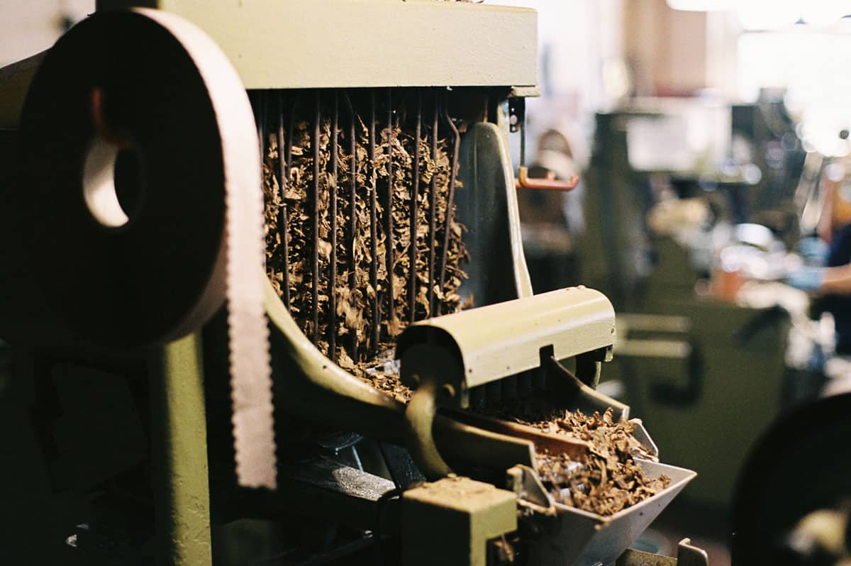 After The Cigar Photo Series on 35mm Film by Derrick Buckner on Shoot It With Film