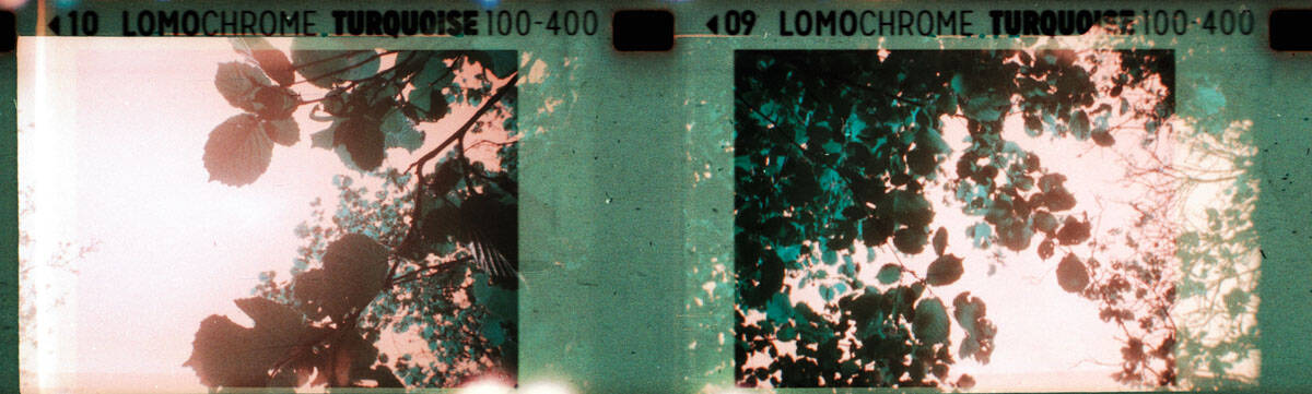 Baby Holga Micro 110 Review by Alec Pain on Shoot It With Film