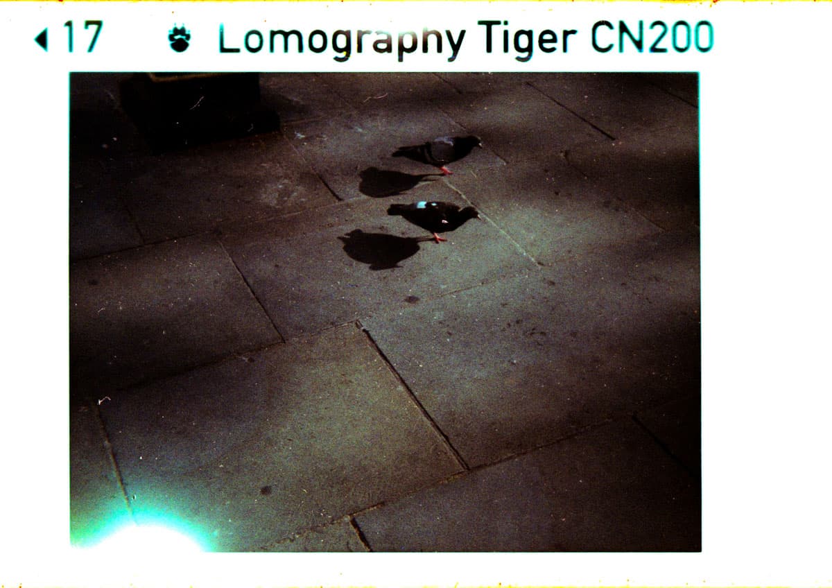 Baby Holga Micro 110 Review by Alec Pain on Shoot It With Film