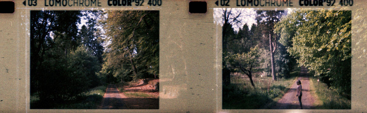 Baby Holga Micro 110 Review by Alec Pain on Shoot It With Film