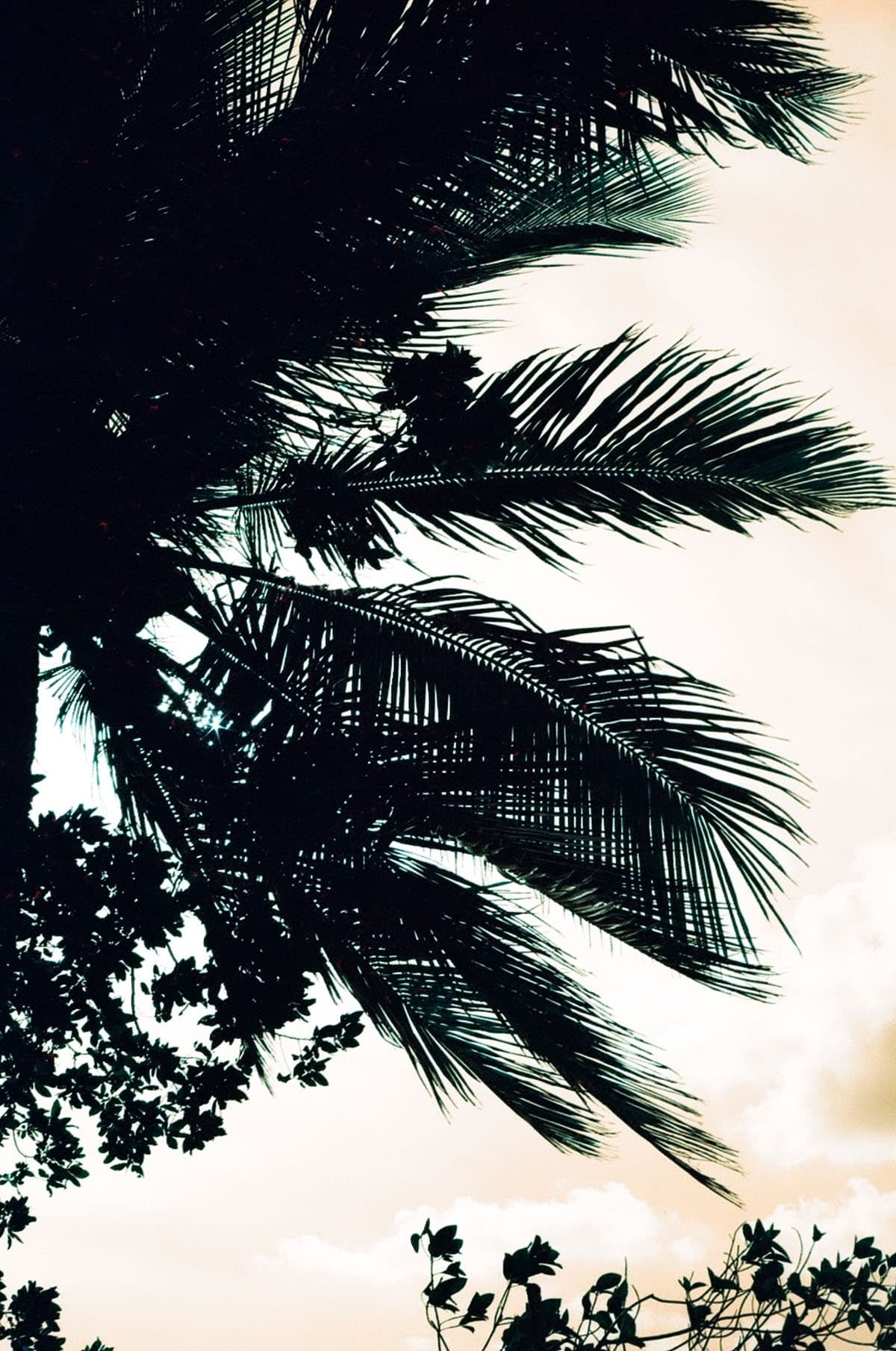 Film in the Florida Keys by Caitlin Cisar on Shoot It With Film