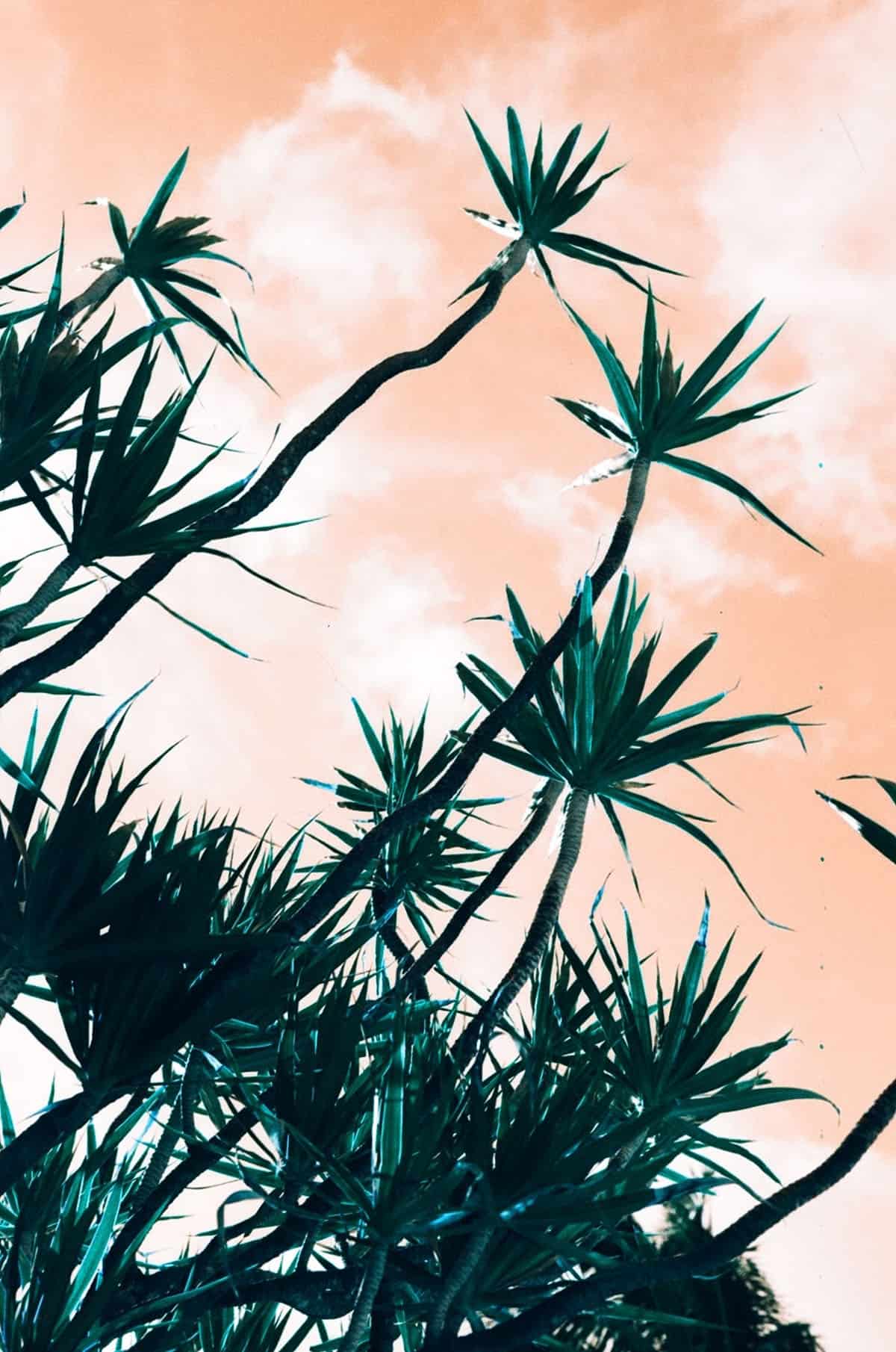 Film in the Florida Keys by Caitlin Cisar on Shoot It With Film